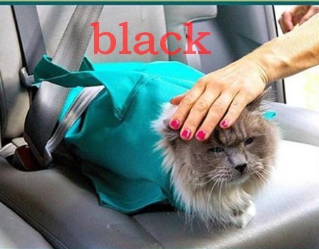 Pet Cat Breathable Outdoor Travel Shoulder Bag Sling Carrier For Puppy - Image 4